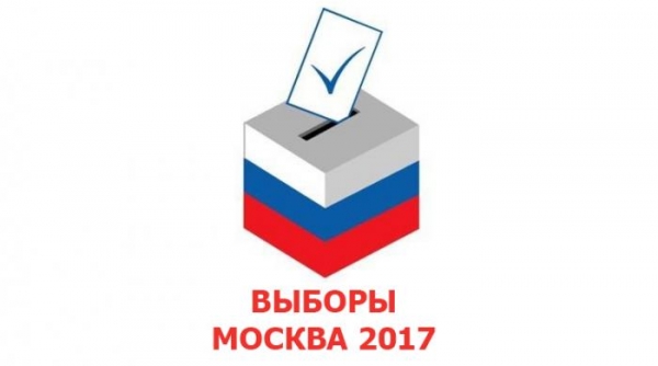Выборы депутатов