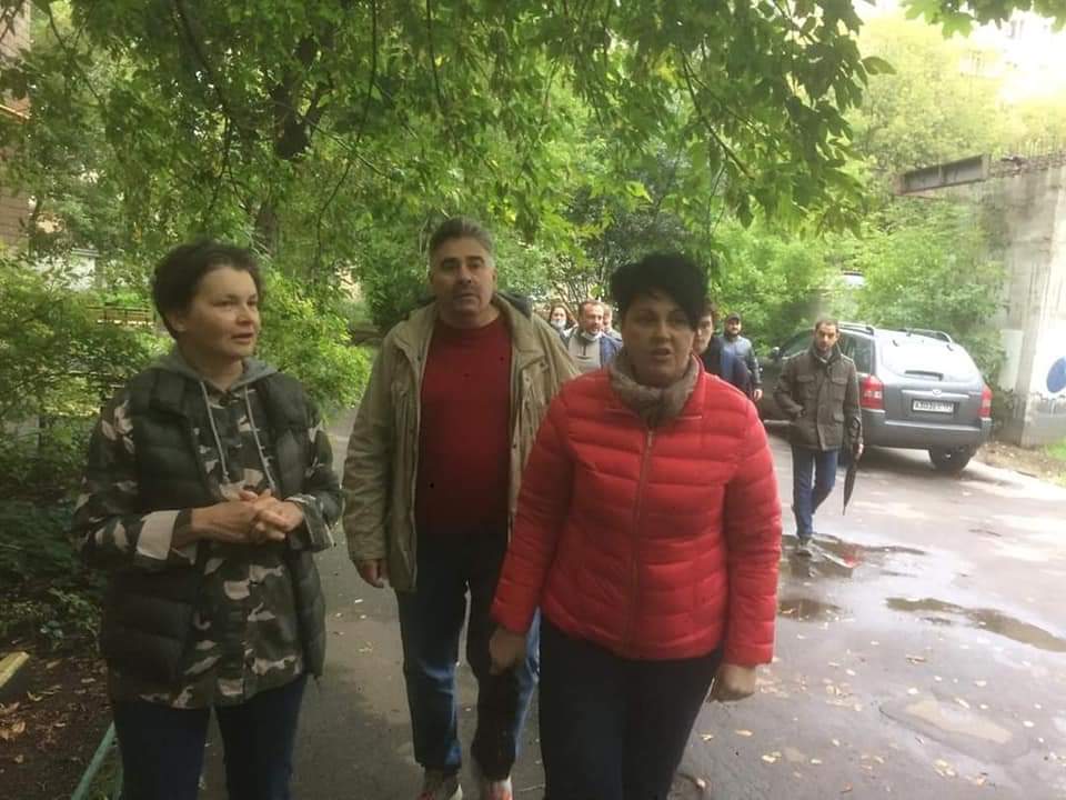 кронирование деревьев