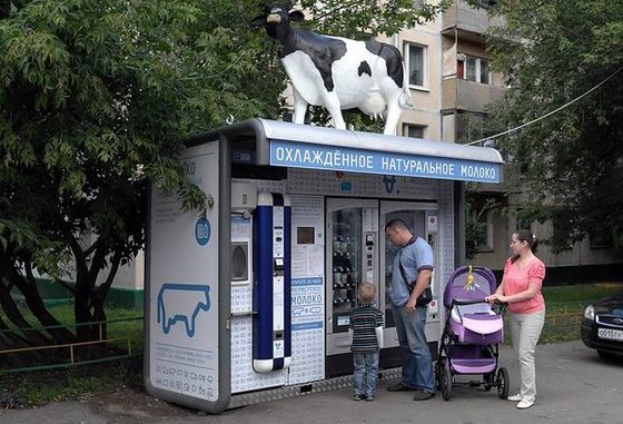 milk молокомат