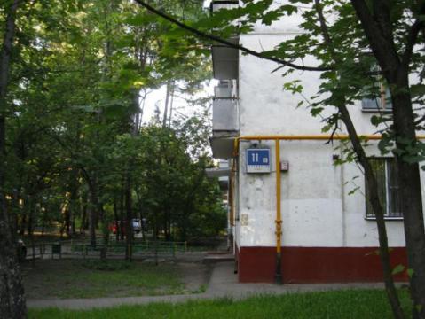 dom-11