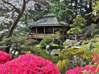 о японских садах