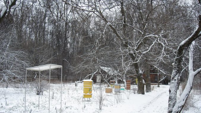 царская пасека новогодние каникулы