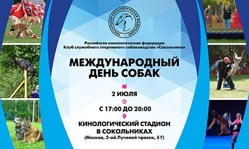 день собак Международный день собак