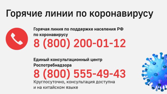 тасс_