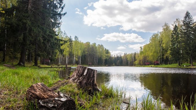 день рождения