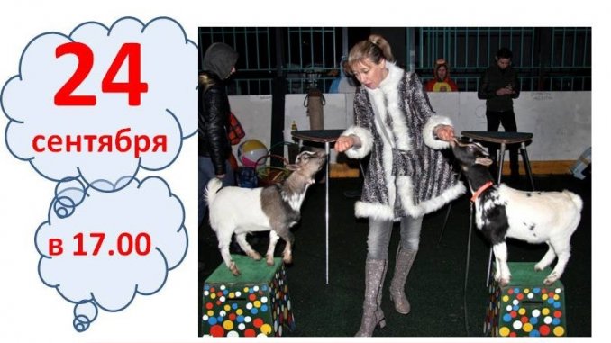 вешняки_