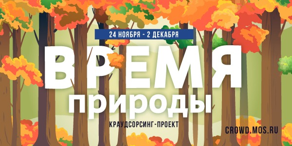 проект время природы