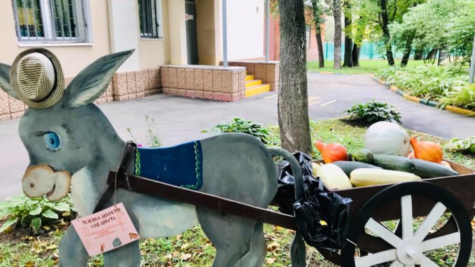 tikvy тыквы