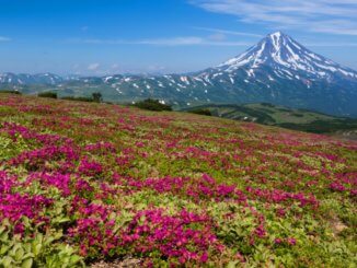 камчатка