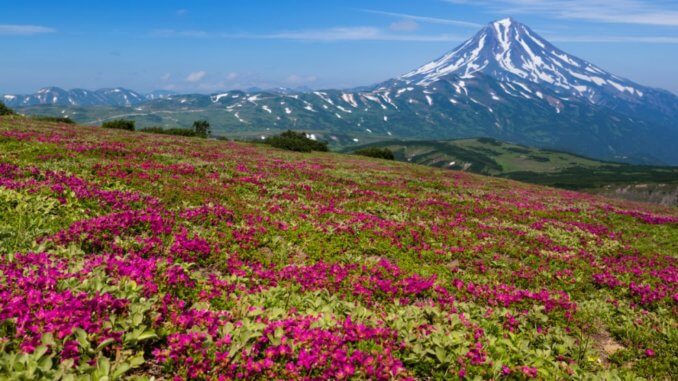 камчатка камчатка