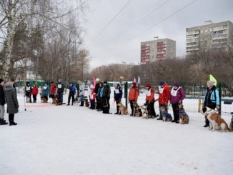 соревнования