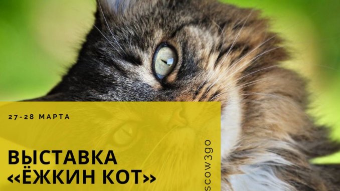 ежкин кот ежкин кот