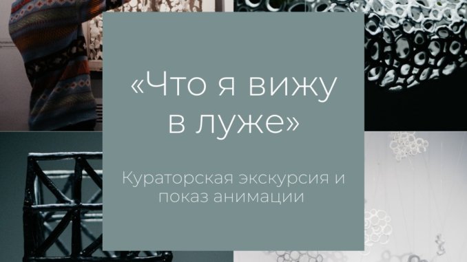 что я вижу в луже