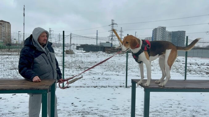 первый собачий праздник