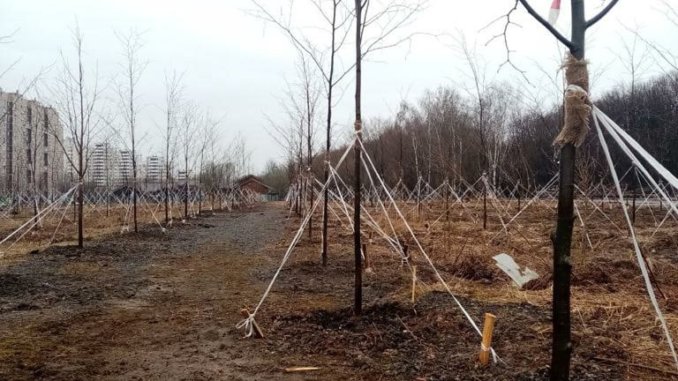 лосиныйостров обустройство рекреационных зон