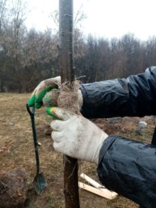 обустройство рекреационных зон