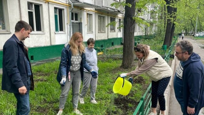 кобзарь кусты чубушника