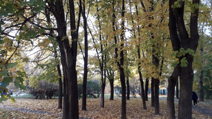IMG-20211007-WA0008 первый этап конкурса