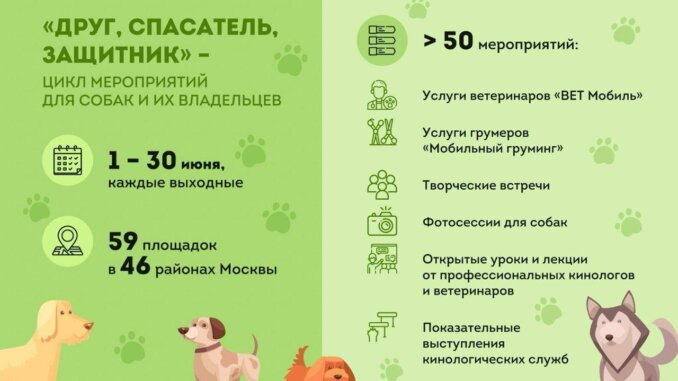 площадки
