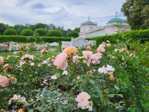 графские именины