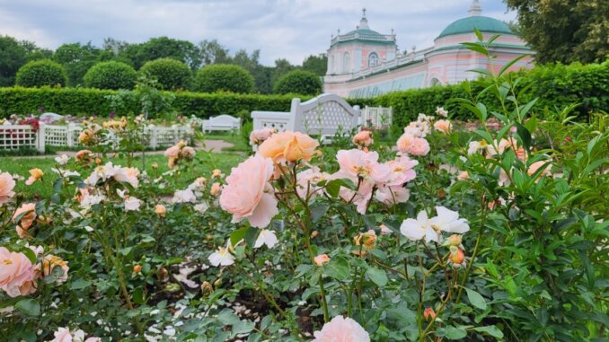 графские именины