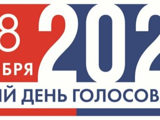 общественный штаб