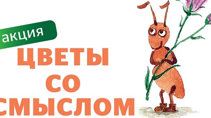 созидание1
