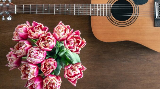 bouquet-pink-tulips-