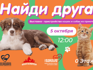 найди друга