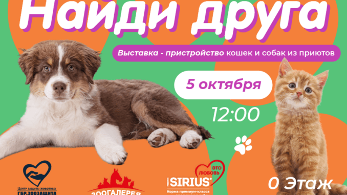 друг найди друга