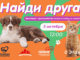 найди друга
