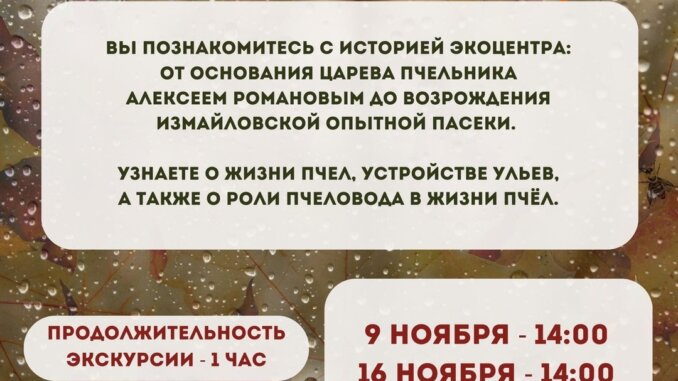пчела и человек