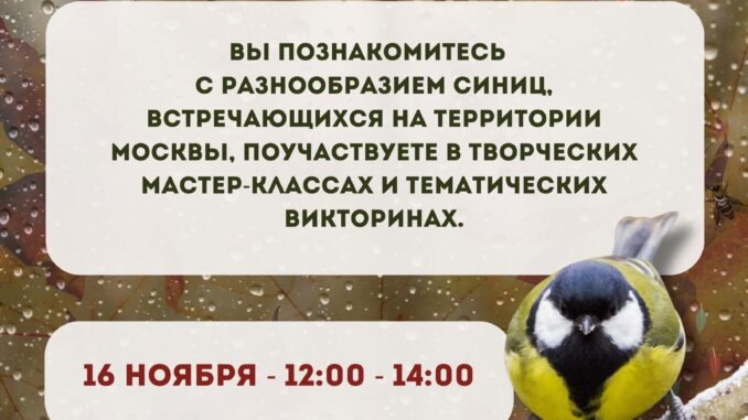 синичкин день синичкин день