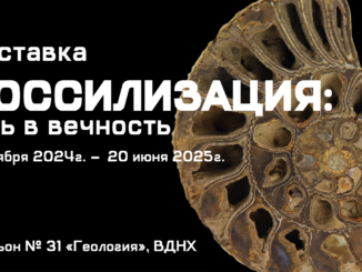 Фоссилизация
