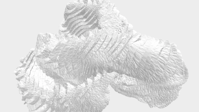 кабирова One Artsapiens ID