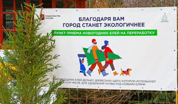 ёлочный круговорот