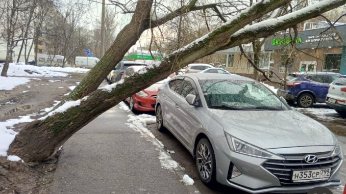 кудинова ольга кудинова