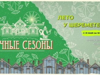 дачные сезоны