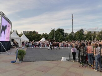 на III фестивале национальных пород лошадей