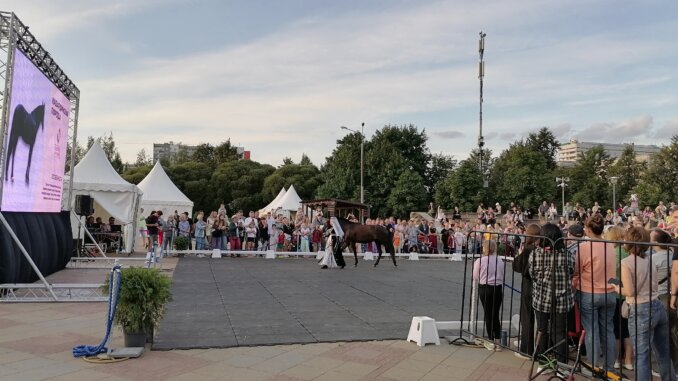 на III фестивале национальных пород лошадей
