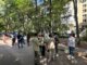 маршрут обхода в Богородском